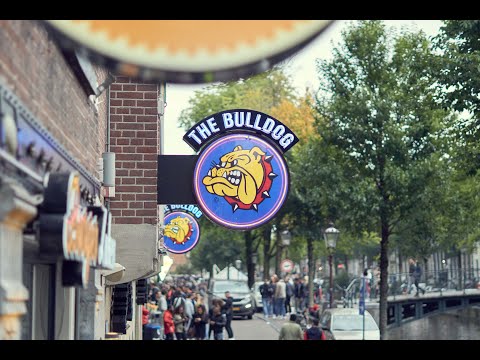 PAKA x MADZIOR x ZYGAx RWM - AMSTER STREET SHOT PROD. (DNA)