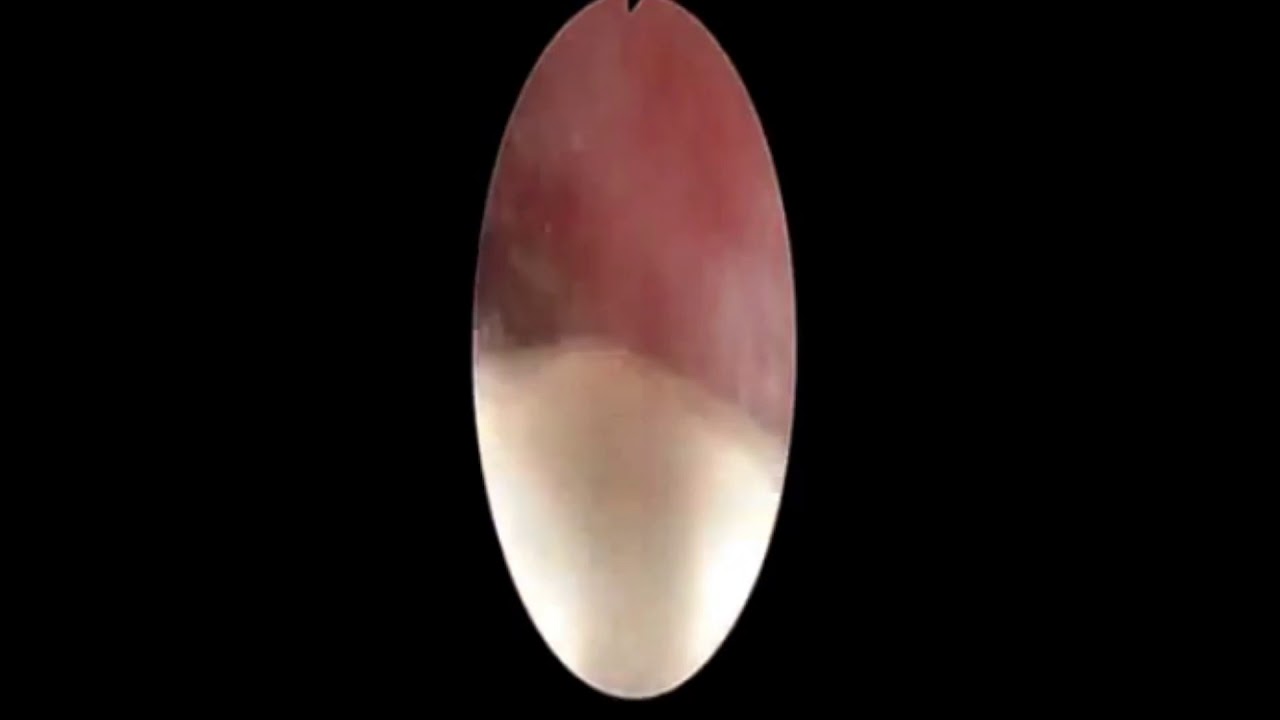 Gerardo Rodrigo Lemus Mena-18