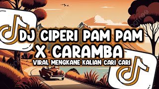 Download lagu DJ CIPERI PAM PAM X CARAMBA VIRAL MENGKANE TIKTOK || DJ VIRAL TIKTOK MENGKANE KALIAN CARI CARI!!! mp3