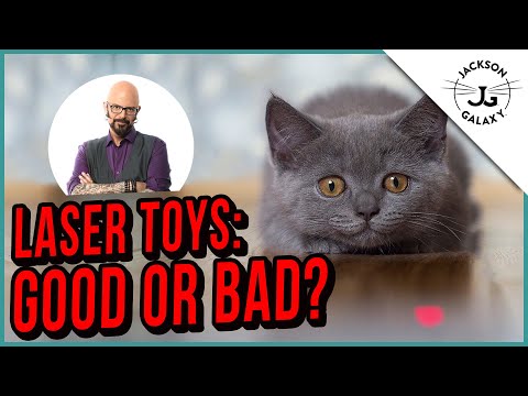YouTube video about: Why is my cat scared of toys?