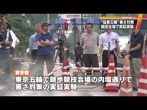 スイミングプールの塩素に代わる製品は何ですか?革新的なソリューションとは何ですか?  庭園