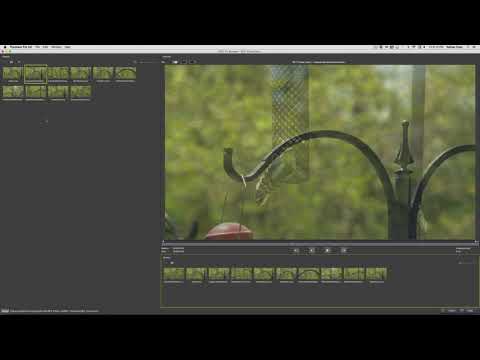 BCC 10 Cross-Zoom Transition inside Media Composer & Premiere Pro