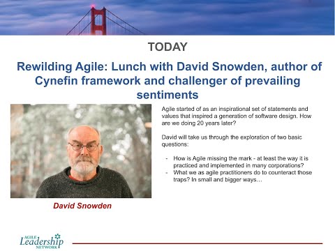 Rewilding Agile:  David Snowden, author of Cynefin framework and challenger of prevailing sentiments