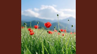 Download lagu After the Rainfall mp3