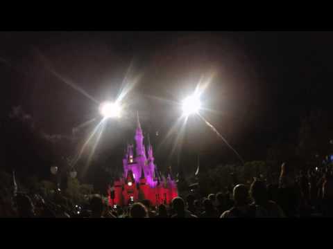 Disney Magic Kingdom Tinker Bell flying