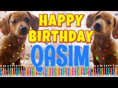 Happy Birthday Qasim! ( Funny Talking Dogs ) What Is Free On My Birthday