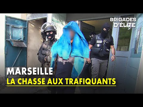 Marseille : Intervention dans la cité la plus chaude de France | Brigades d'élite