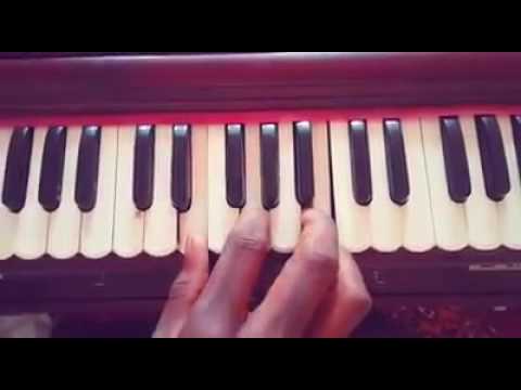 Easy to Learn#2 Chords Harmonium Lessons With Mahaprabhu Caitanya Dasa