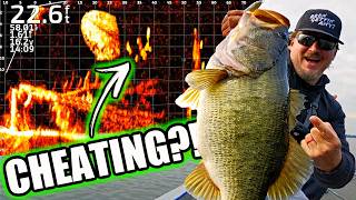 Is LIVESCOPE Too Easy with This Bait?! (CHEAT CODE)