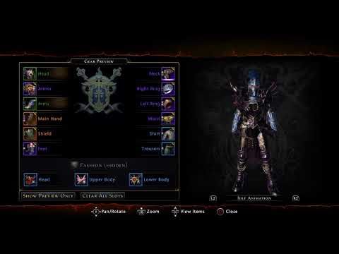 Neverwinter PS4 Paladin Player