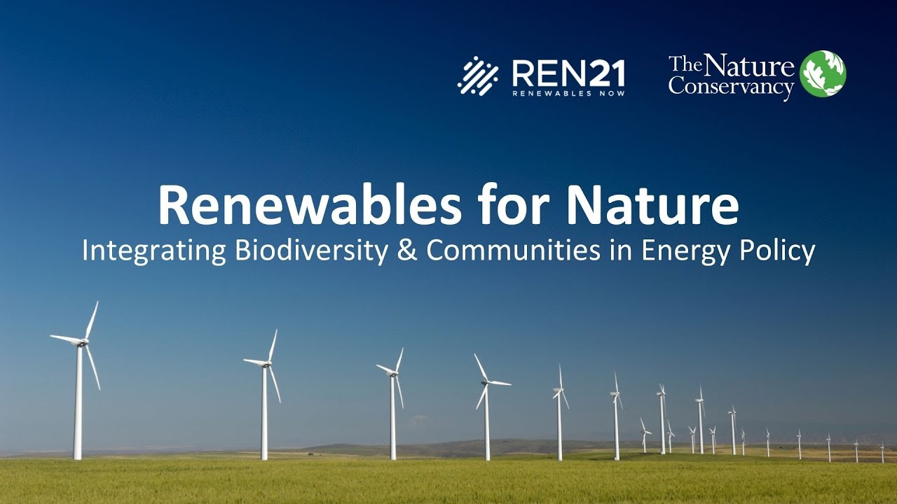 Renewables for Nature: Integrating Biodiversity & Communities in Energy Policy