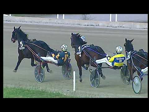 Napoli Trotto 31/12/2021 - 7ª corsa