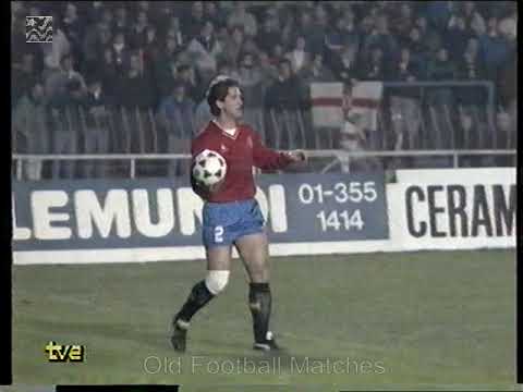1990 FIFA World Cup Qualification - Northern Ireland v  Spain