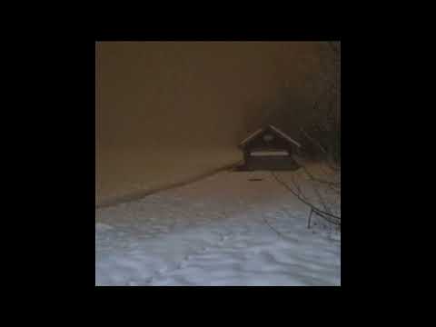 [free for profit] midwest emo guitar x guardin type beat - "retribution"