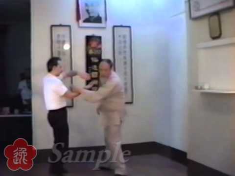 Preview: Moy Yat - Chi Sau 2