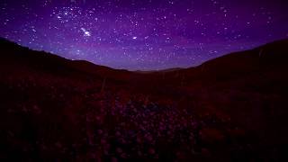 RL Grime - UCLA (Instrumental) [Official Audio]