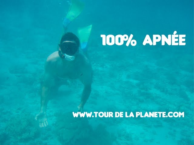 100% Apnée (Masque + Tuba) autour du monde