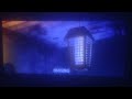A Bug S Life 1998 Don T Look At The Light AUDIO DESCRIPTION
