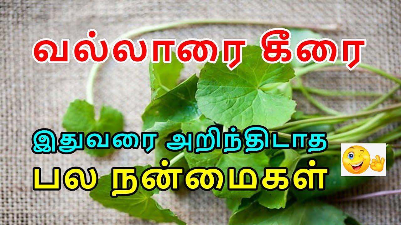 வல்லாரை கீரையின் நன்மைகள் | Benefits Of Vallarai Keerai In Tamil | Vallarai Keerai | Brahmi Leaves