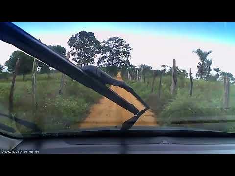 Dando uma olhada aqui na roça em Serrolândia BA chegando no povoado de alto do coqueiro 