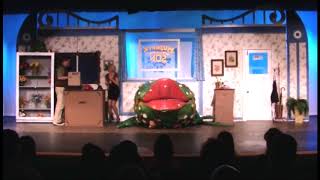 &quot;Call Back In The Morning&quot; from Little Shop of Horrors