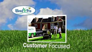 Weed Pro_Corporate Video
