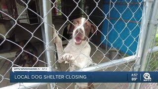 No-kill animal shelter closing its door in Okeechobee County