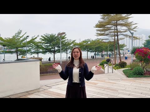 柏傲湾 Youtube Video