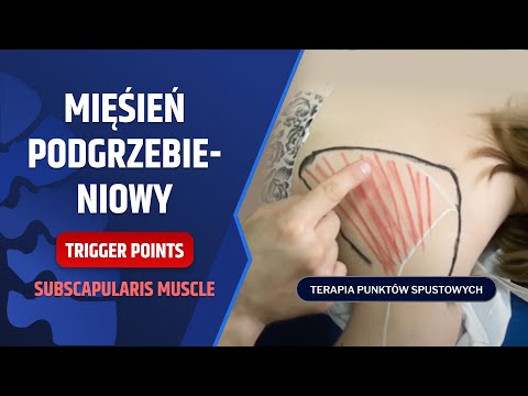 Ćwiczenia dla domu pośladkowy wielki Co zrobić, aby nie zranić mięśnie w ramionach