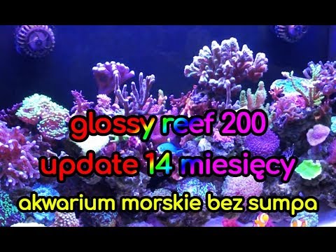 (102) Glossy Reef 200 / Update / 14 miesięcy - Akwarium morskie - Reef aquarium