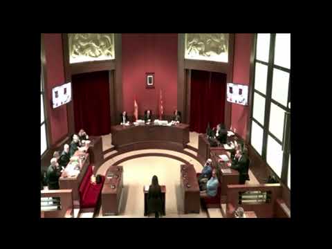 Al·legat final durant el judici