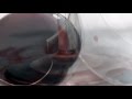 JOSE FELICIANO (Ropa Vieja & La Copa Rota)