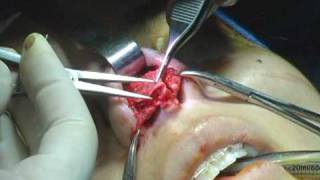 NassifMD Plastic Surgery