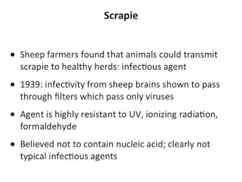 Usual Infectious Agents (Lecture 24)