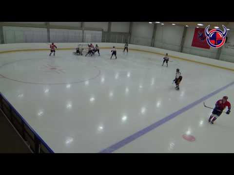 Viikingit - Haukat 11.12.2016 Ottelukooste