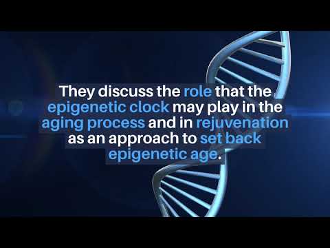 Aging: The Epigenetic Clock, Aging, and Rejuvenation