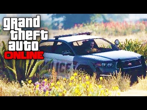 GTA 5 Code Zero Patrol - Idiot Mouse