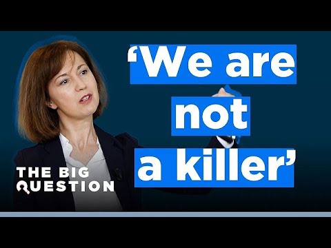 Video Thumbnail: The Big Question: Ist Amazon gut für Europas Wirtschaft?