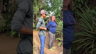 AERIDEAS ODORATA, uma orquídea VANDACEA