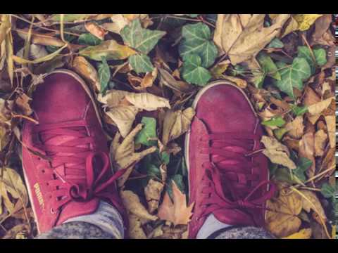 Martonvásár és Velencei korzó