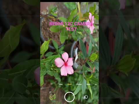 REDMI 12C CAMERA TEST #shortvideo