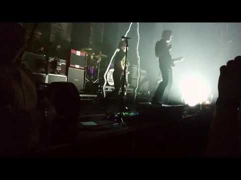 The Amazons Saturday 16th November 2019