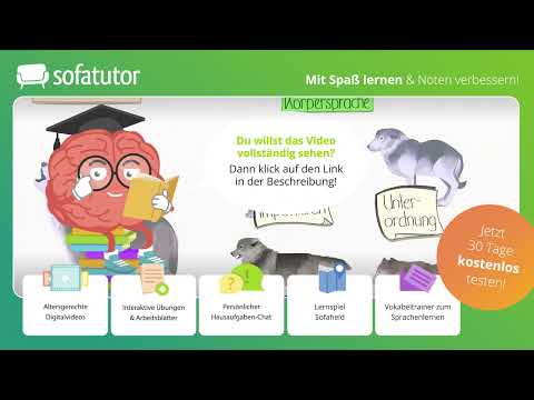 Wolf profile – typical behavior and physique