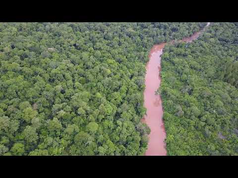 Reserva Natural Privada Pozo Tarumá. Florentino Ameghino, Misiones