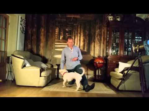 Handfeeding Workout with formerly aggressive Boo-Boo the Crossbreed