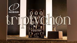 Video thumbnail for NEW! Triptychon by Crazy Tube Circuits by FACE MI