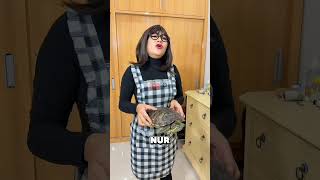 Download lagu NUR FINDS A JUMBO TURTLE | NURRAYNI25 mp3 Download lagu NUR FINDS A JUMBO TURTLE | NURRAYNI25 mp3