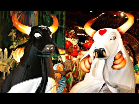 Baião De Bois video