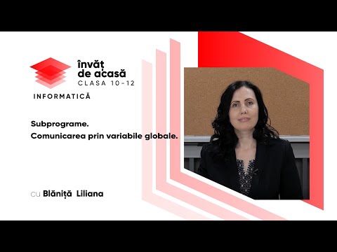 Informatica; cl.XI, "Subprograme. Comunicarea prin variabile globale"