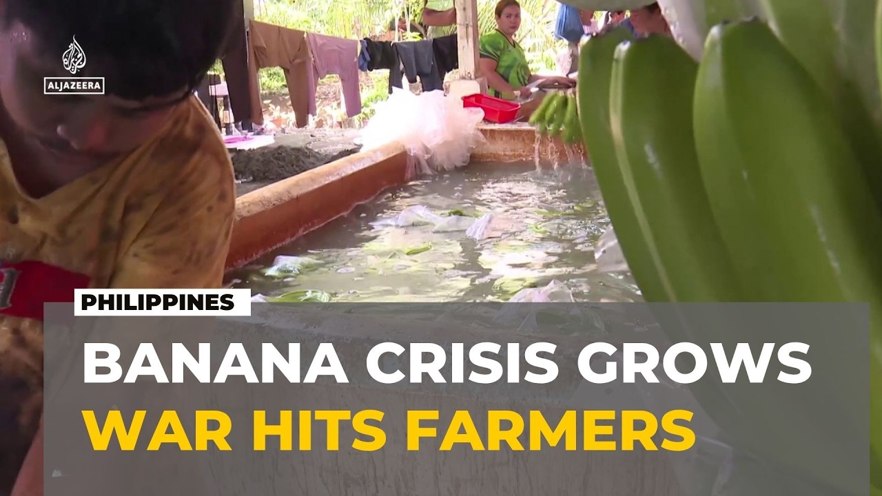 Philippine Banana Farmers Feel Economic Fallout of Iran Conflict